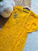 Viscose Rose Panel Muqaish Kurta