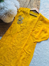 Viscose Rose Panel Muqaish Kurta