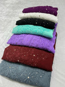 Muqaish Worked Hania Chikankari Kurta