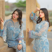 Farshi Plazzo With pure Georgette Top