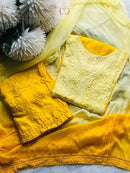 Beautiful Rayon Ombre Chikankari Speical 3pc set - chikankariofficial