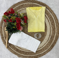 Ghass Patti Chhadi Hand Work Dual Shades Kurti & Lycra Stechble Pant - chikankariofficial