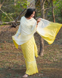 Ombre 4pc Mirror Set ( Most Loved ) Aryanshi Special - chikankariofficial