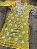 Rose keel Beautiful Georgette Kurtis - chikankariofficial