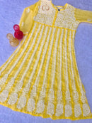 Yok Georgette’ Anarkali - chikankariofficial